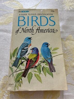 Birds of North America : A Field Guide To Identification